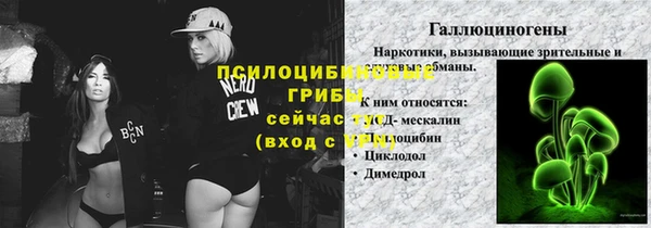 ешки Пестово